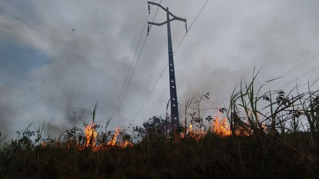 Foto: Equatorial Pará