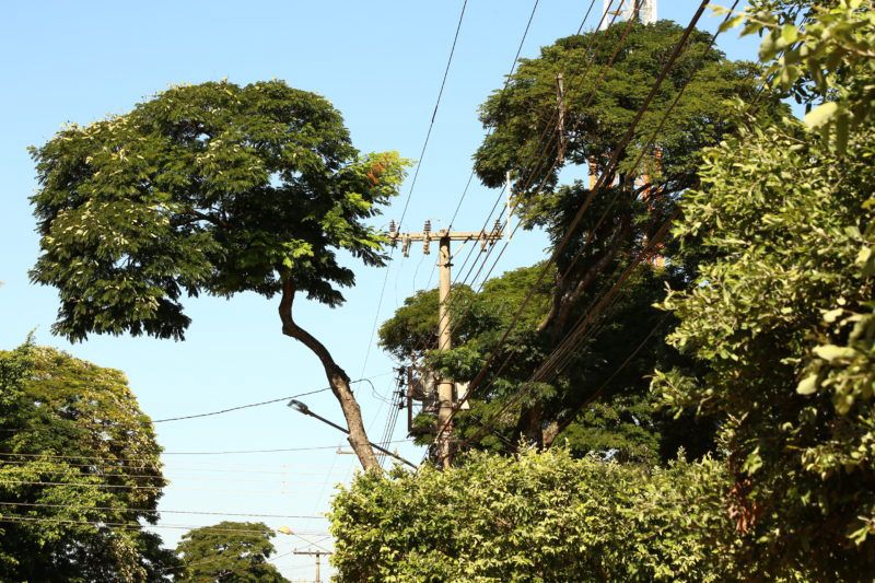 Foto: Equatorial Pará