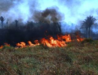 MPPA reforça ações de combate às queimadas em Santarém, Belterra e Mojuí dos Campos