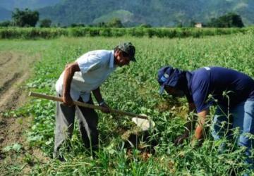 Agro apresenta perda de quase 30 mil vagas de trabalho em novembro