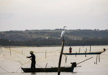 Período de defeso na Bacia Hidrográfica do Rio Amazonas termina em 28 de fevereiro 