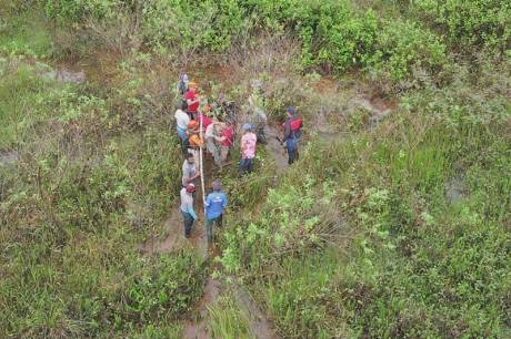 Idoso de 86 anos é encontrado após 4 dias perdido em mata no Pará