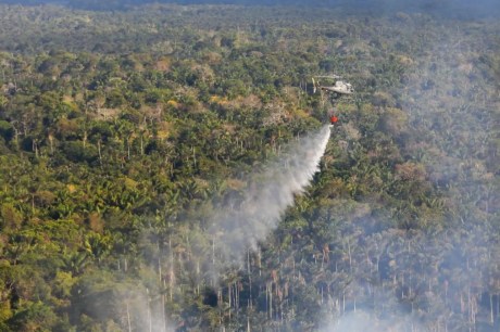 Queimadas: Amazonas registra segundo pior setembro desde 1998