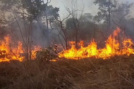 Semma divulga Portaria para monitoramento e enfrentamento de queimadas em Santarém