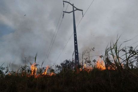 Equatorial Pará alerta para perigos na rede elétrica em período de queimadas