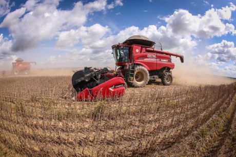 Prazo para semear soja no Pará é prorrogado pelo Ministério da Agricultura e Pecuária