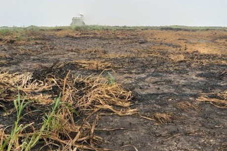 Prefeitura aplica mais de R$ 2 milhões em multas como ação imediata contra a crise climática