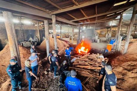  Estado incinera mais de 200 kg de drogas em Altamira