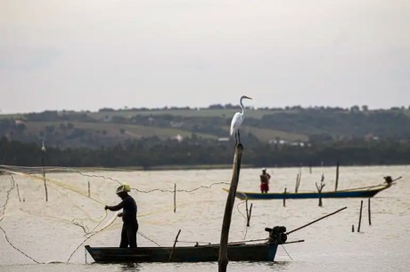 Período de defeso na Bacia Hidrográfica do Rio Amazonas termina em 28 de fevereiro 